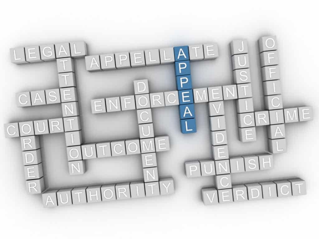 What Are My Chances of Winning an Appeal? What Are My Chances of Winning an Appeal?