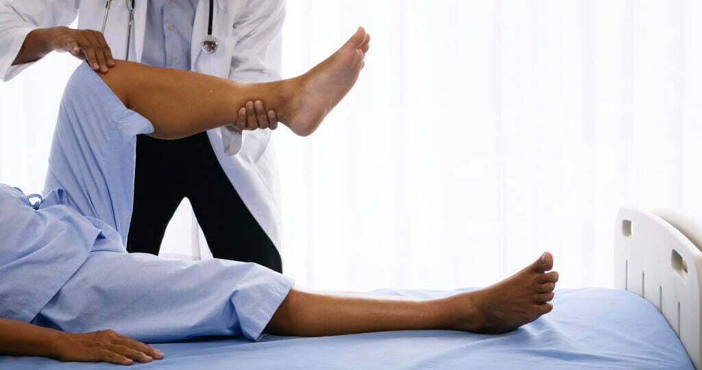 Physical Therapist Doing Physical Therapy For Adul 2022 10 06 04 33 16 Utc 1024x540